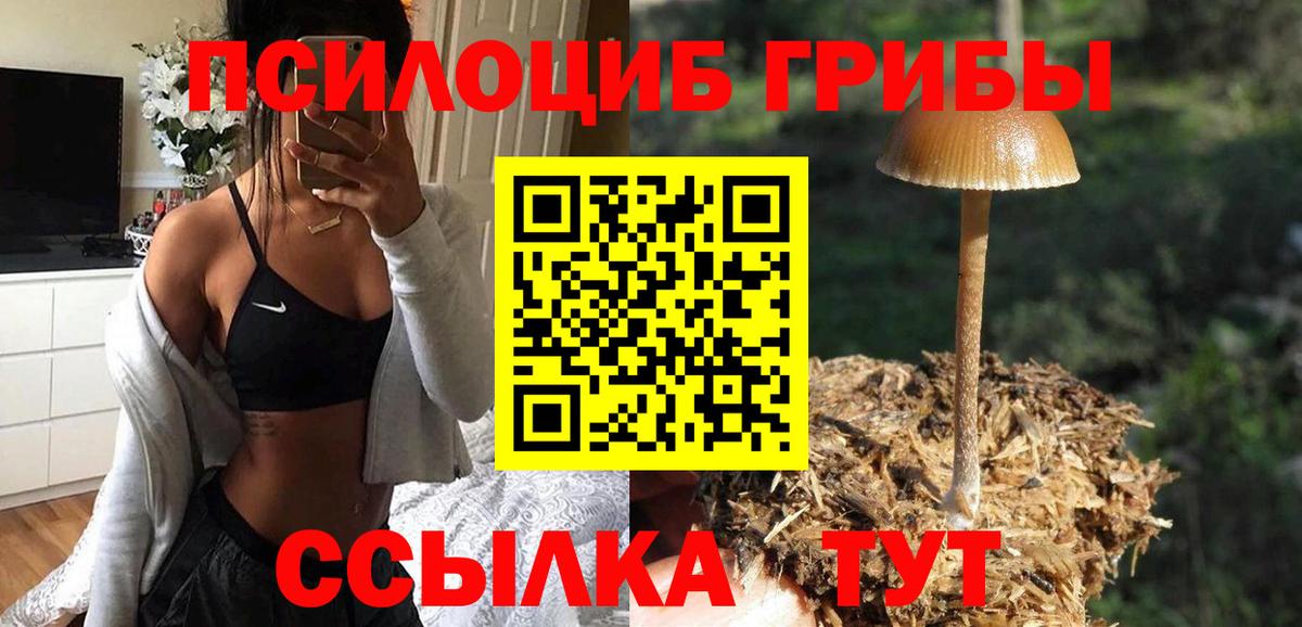 Галлюциногенные грибы ЛСД  Вход с VPN  Беслан 